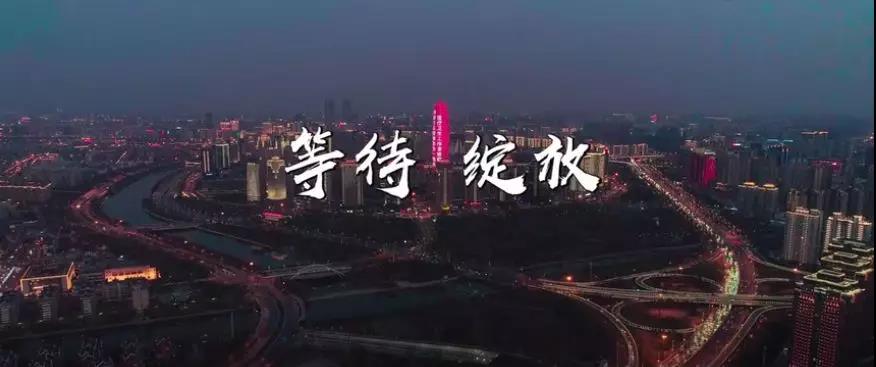 公益廣告宣傳片配樂需要注意哪些要點(diǎn)？